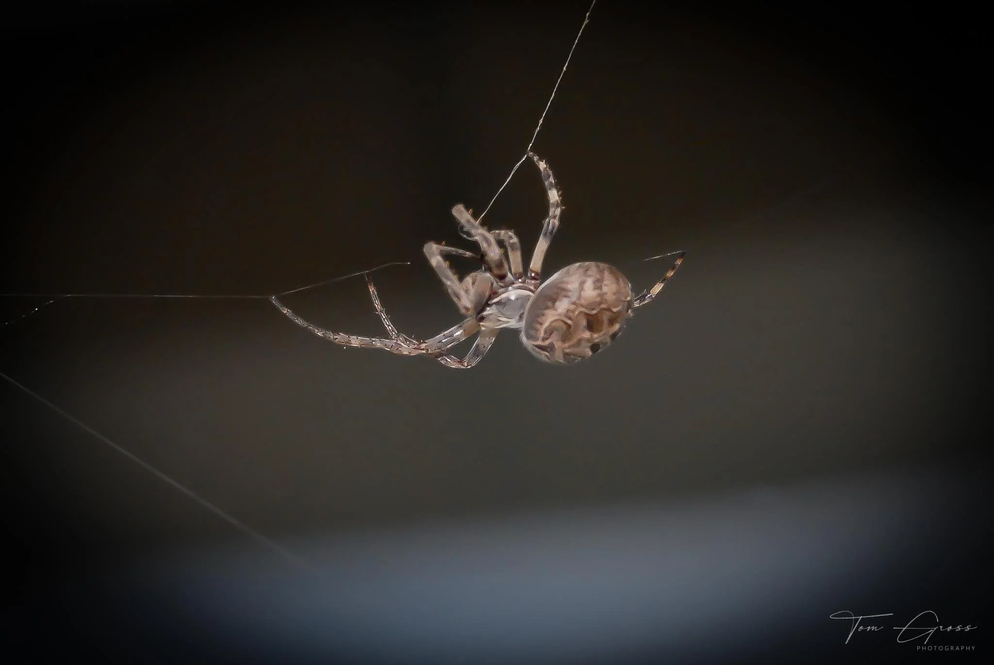 TGPS_Canada 2006 - DVD2 (1492).JPG