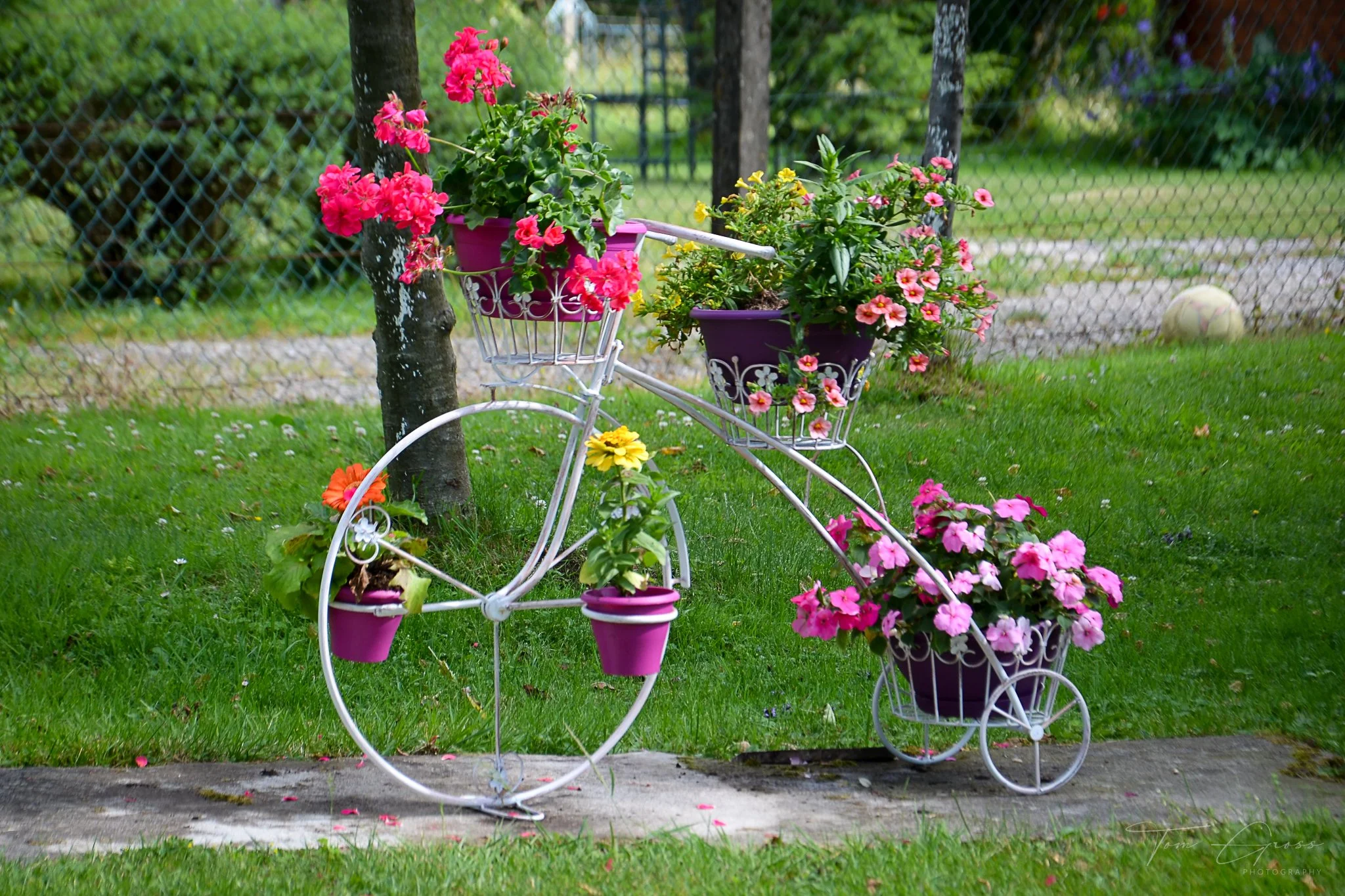 TGP40_2014 France BLF - 6037.JPG