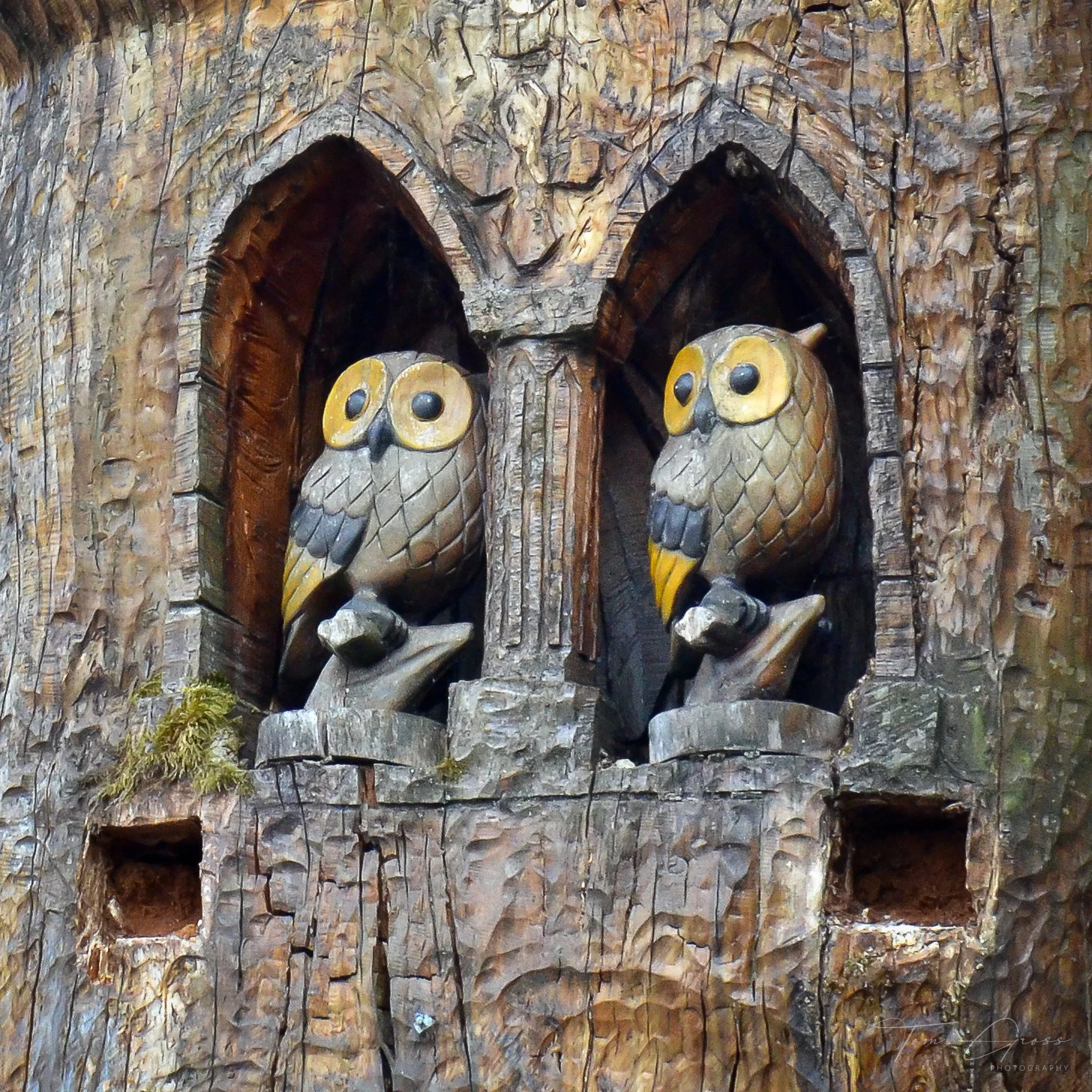 TGP40_2014 France BLF - 5344.JPG