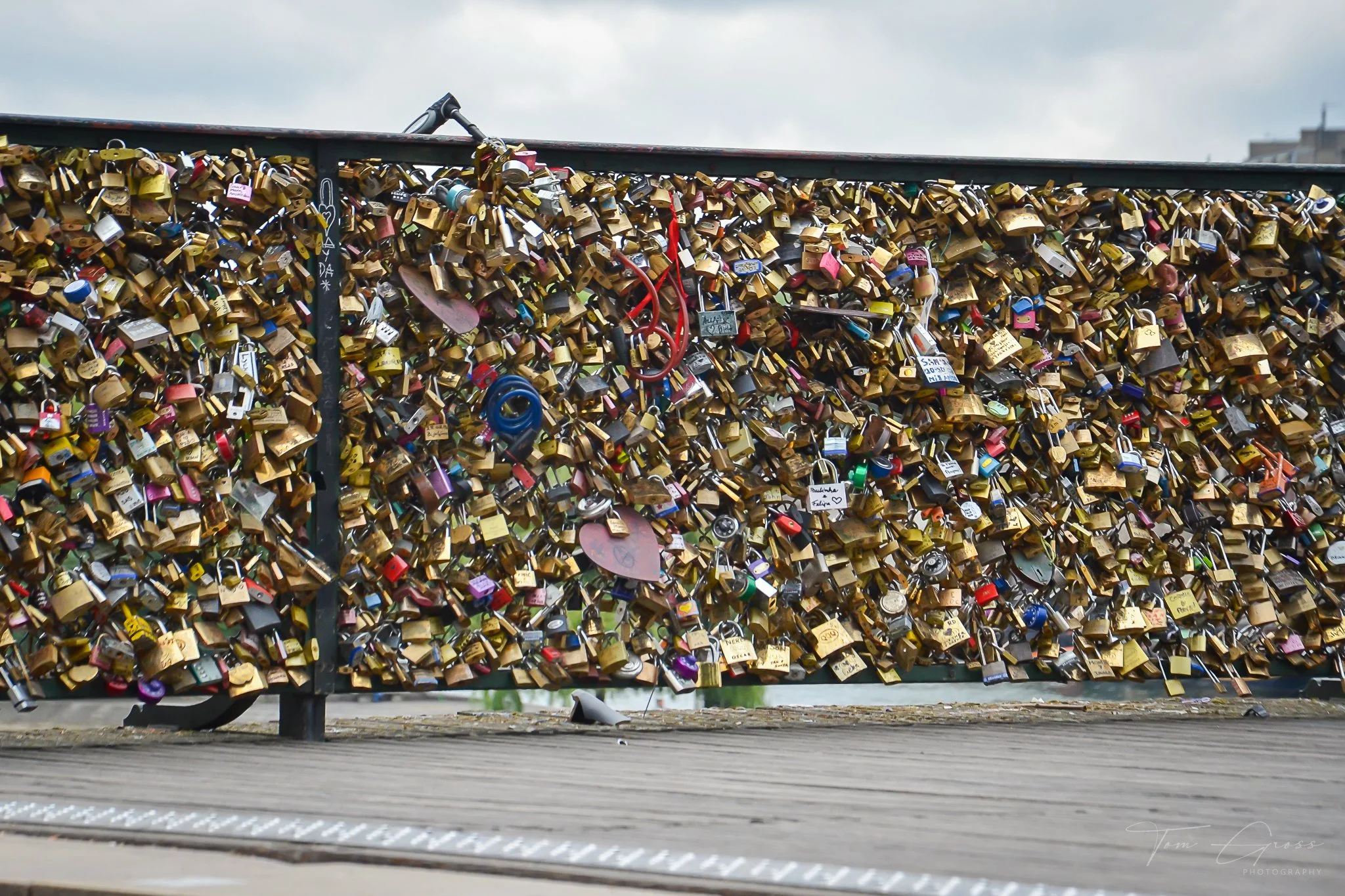 TGP40_2014 France BLF - 7518.JPG