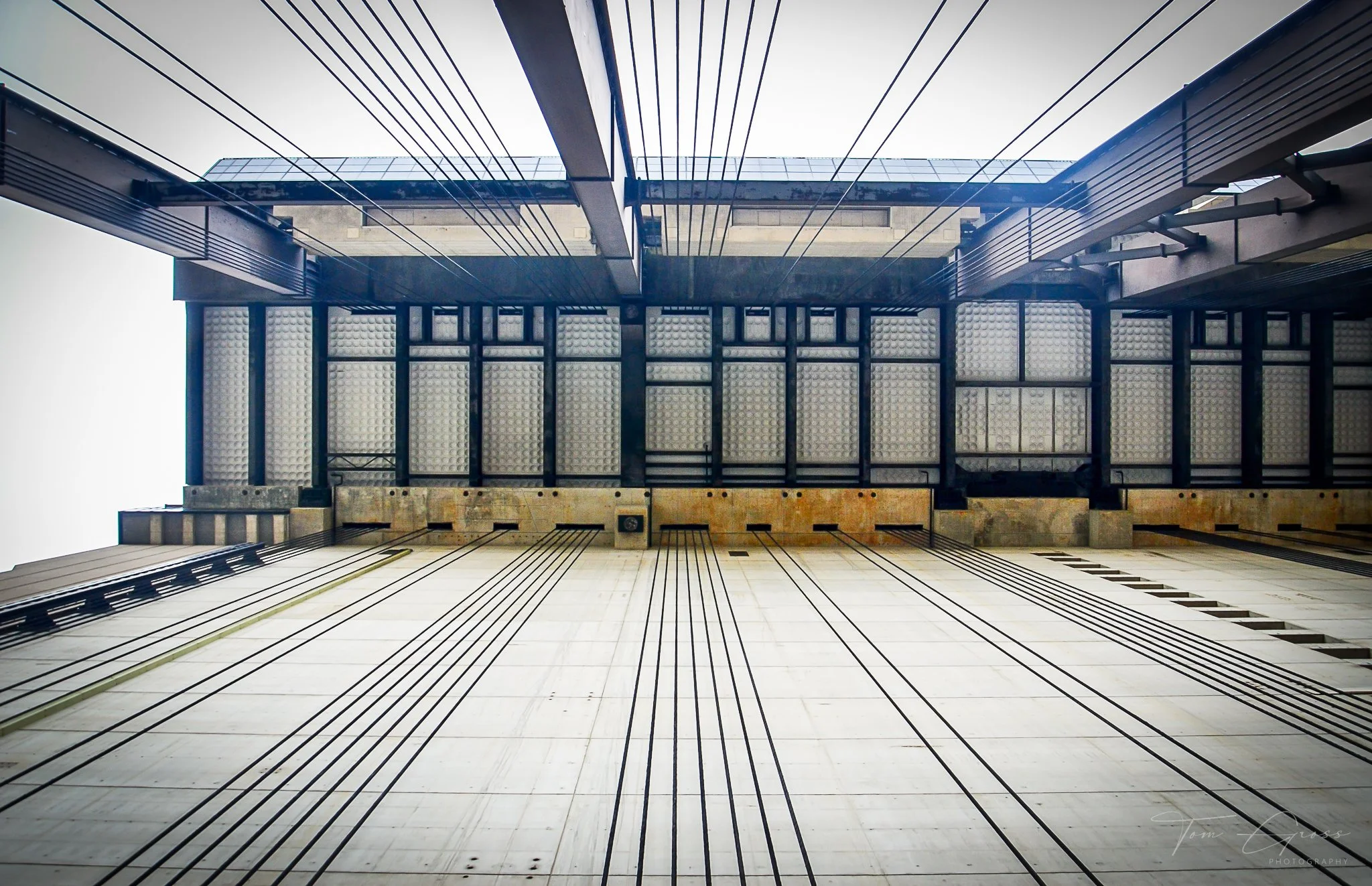 TGP40_2014 France BLF - 8528.JPG