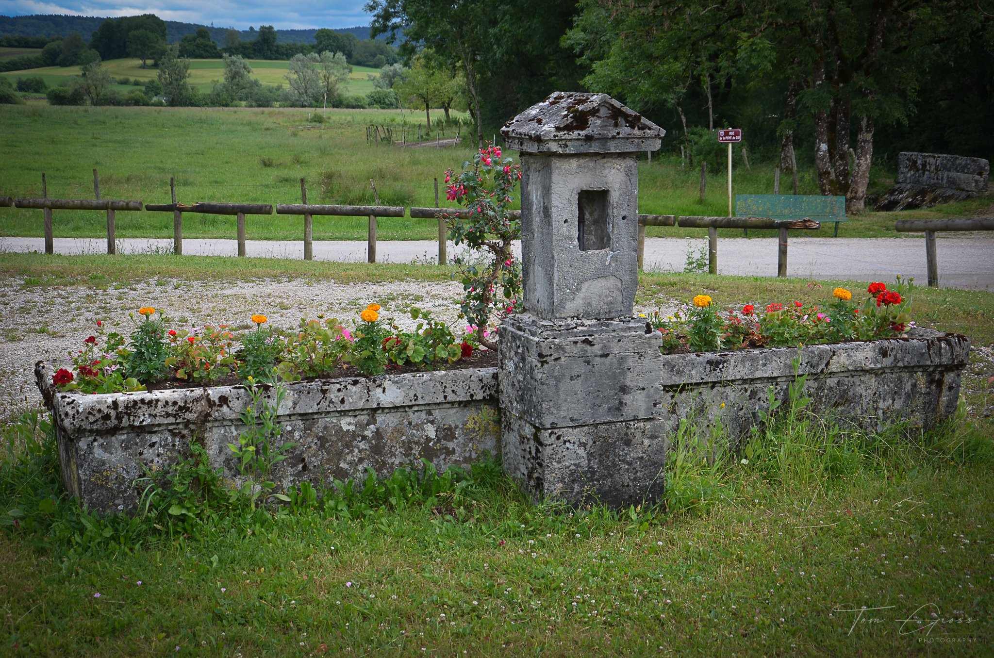 TGP40_2014 France BLF - 6019.JPG