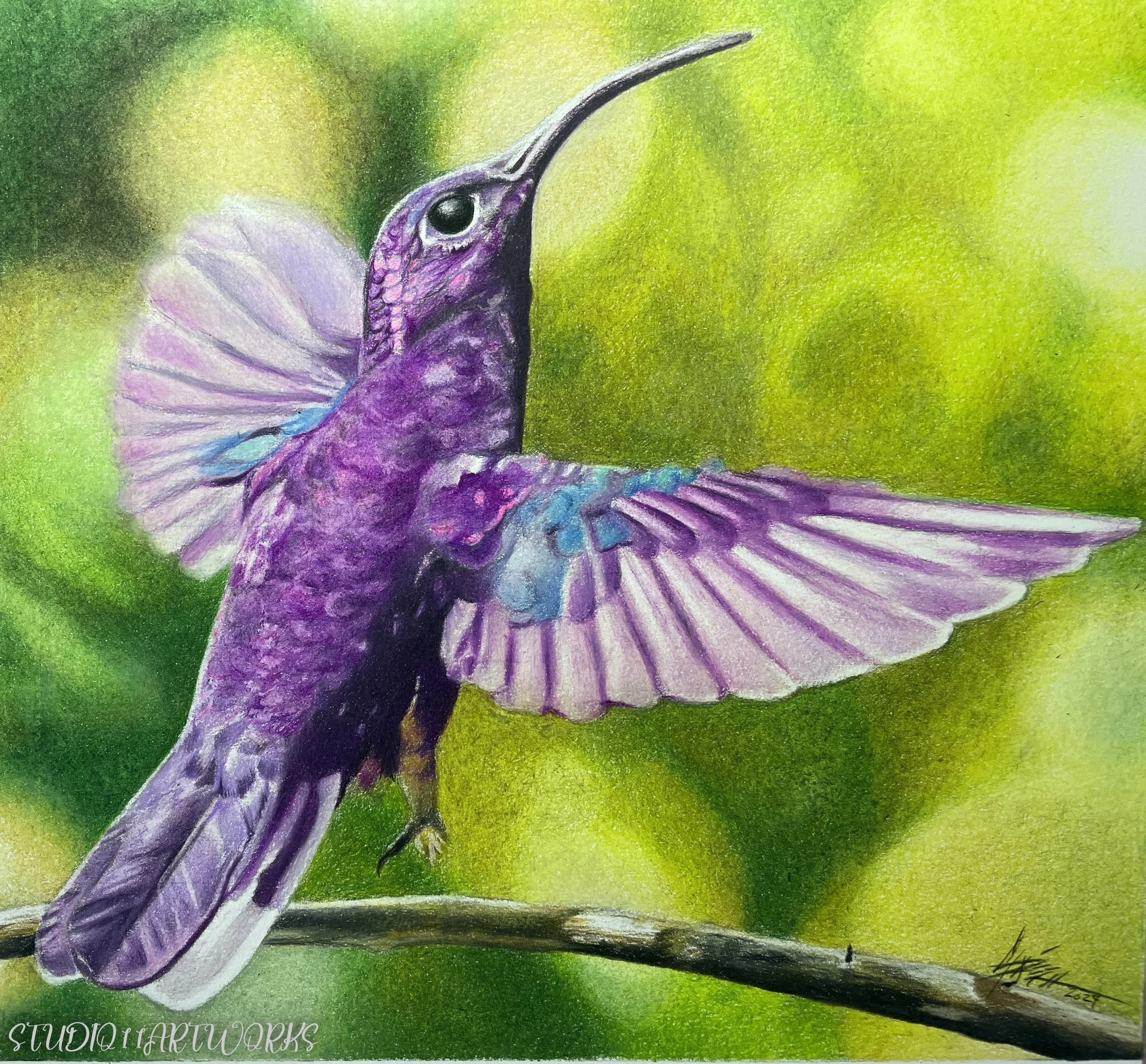 Vibrant Violet (Print)