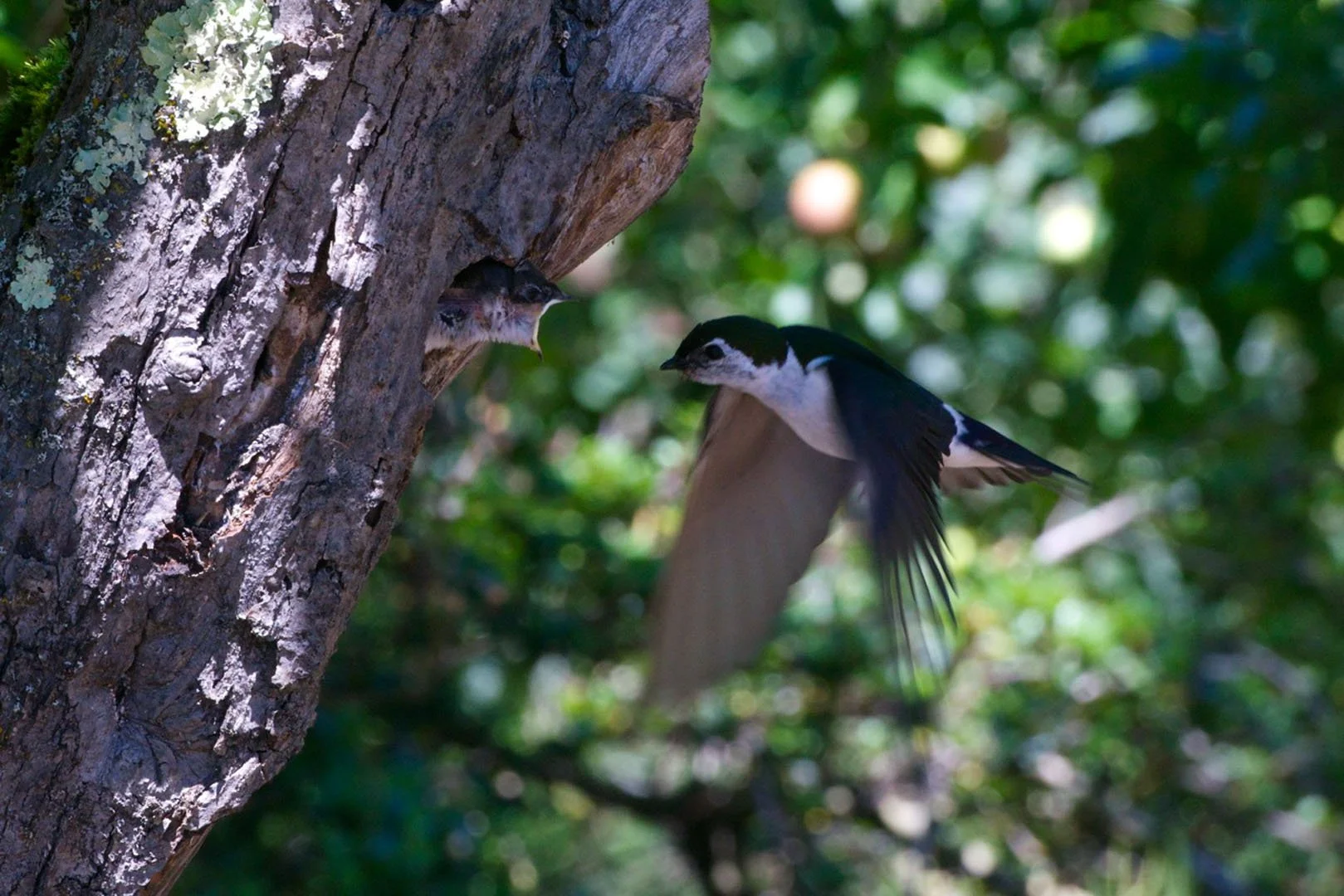 3.It's about time  copy.jpg