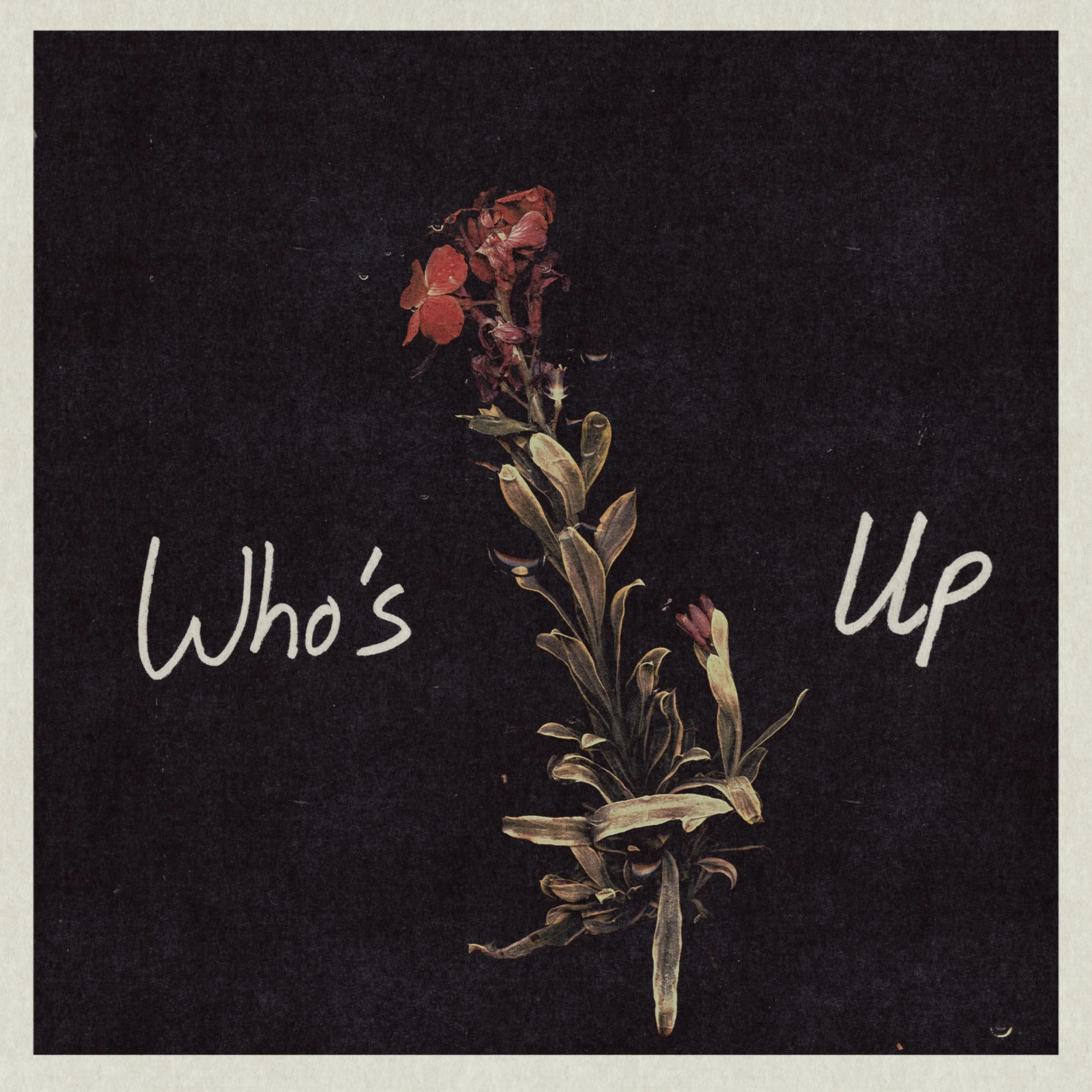 Who's Up FINAL COVER.jpeg