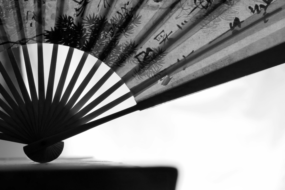 Tai Chi Fan