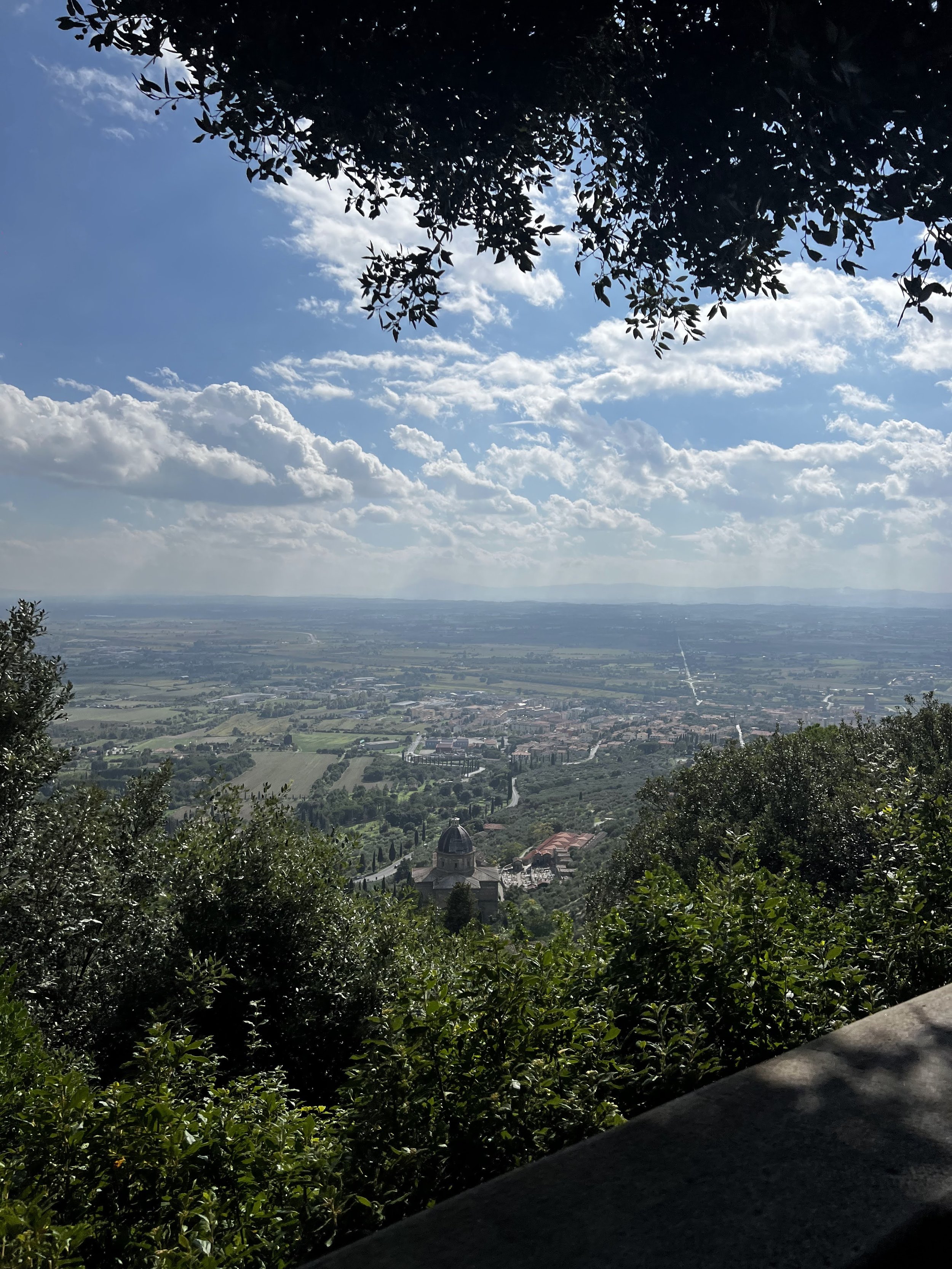 IMG_7142.jpeg
