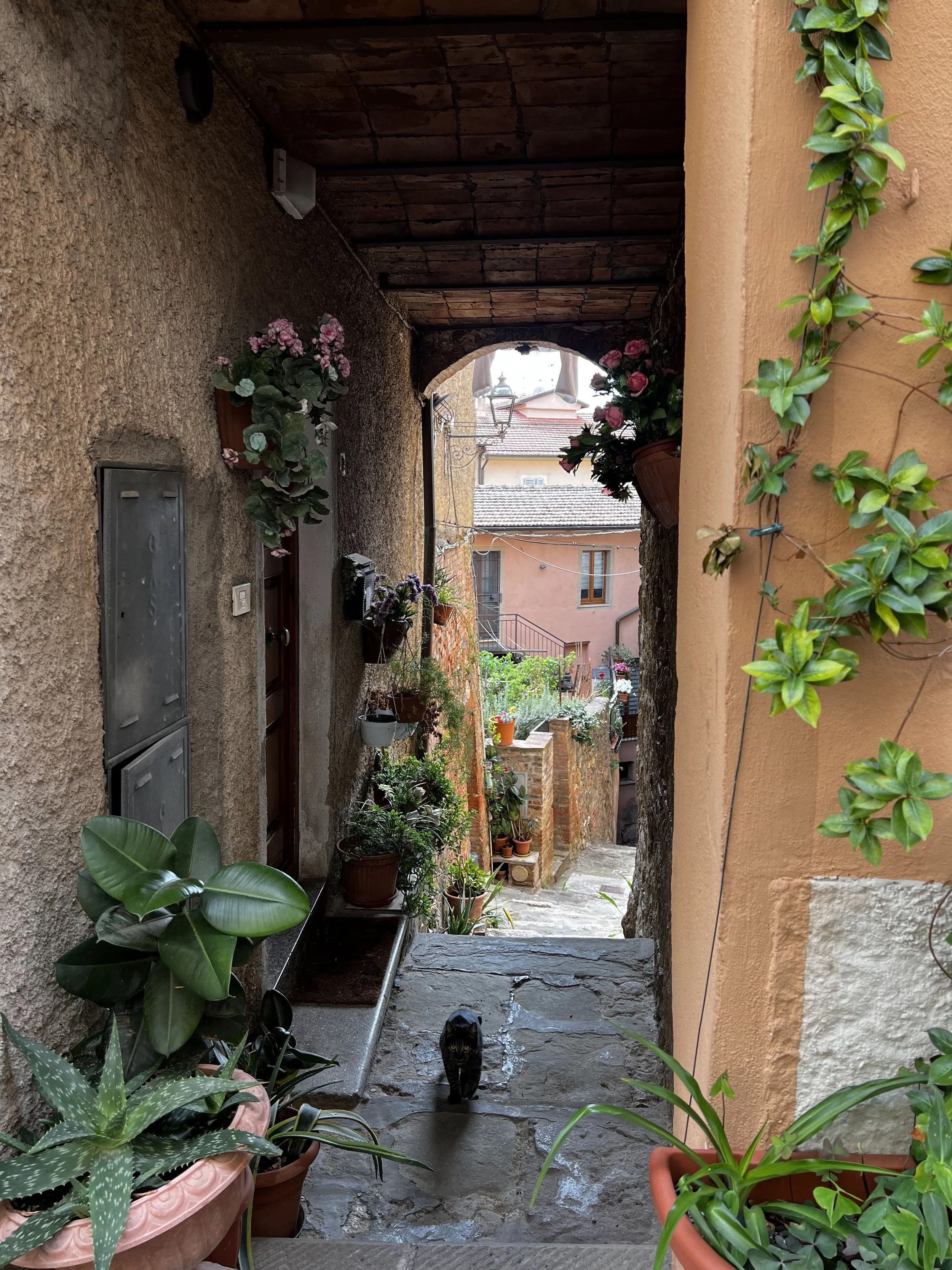 IMG_6957.jpeg