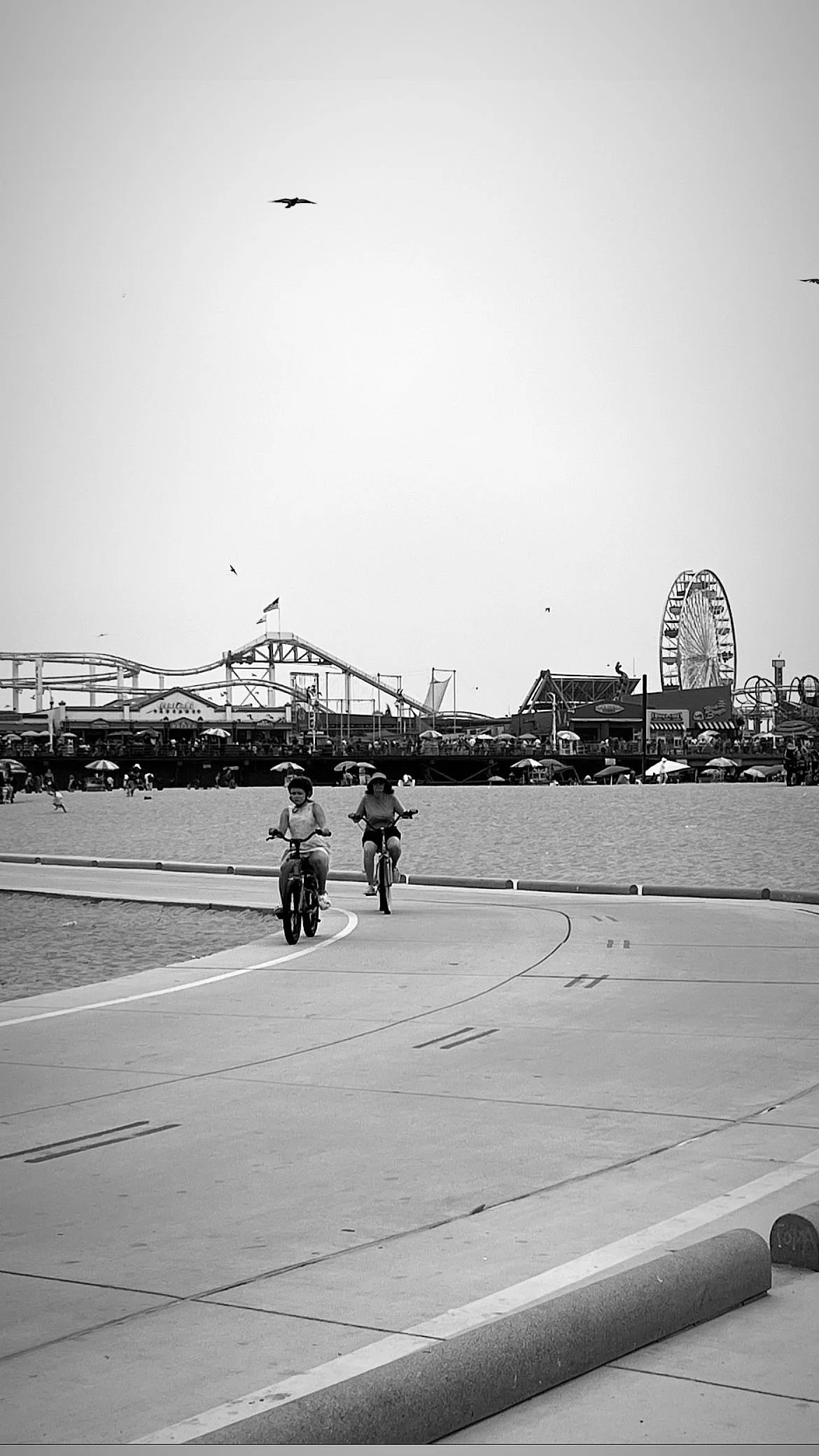 469DFB8C-0928-4ABA-9DEE-62F314A0C2CA.jpeg
