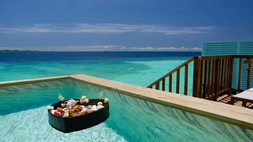 WhatsApp Image 2024-11-19 at 22.50.18_aec98fb4.jpg