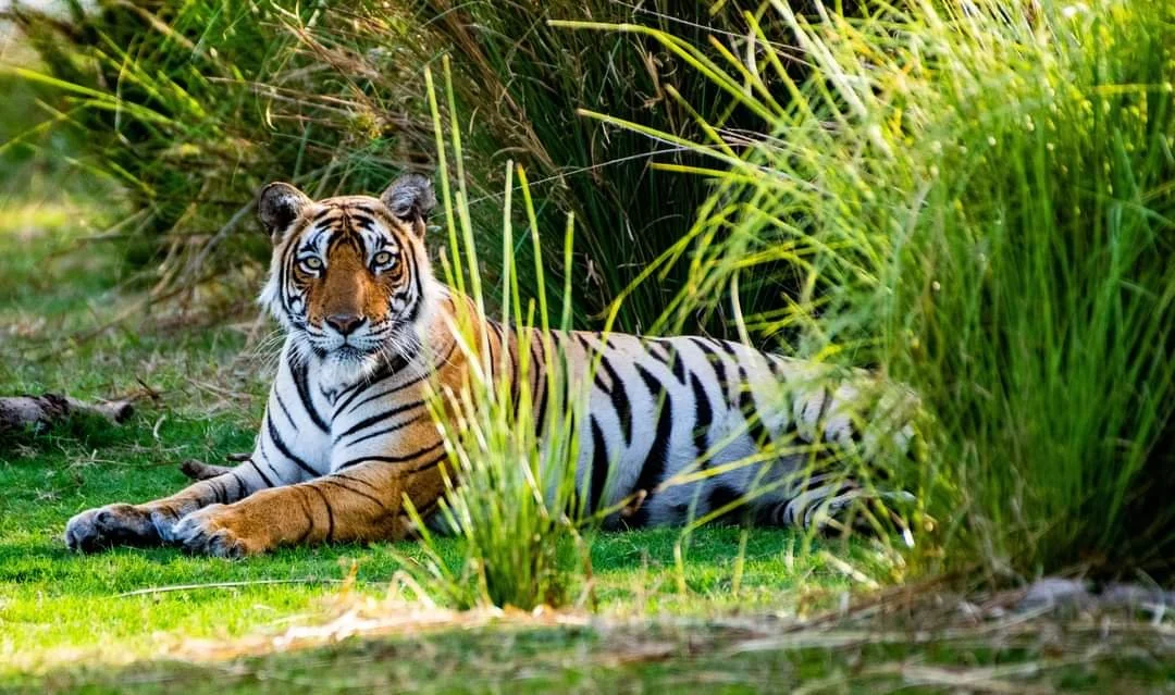 WhatsApp Image 2024-11-19 at 22.27.42_01e20096.jpg