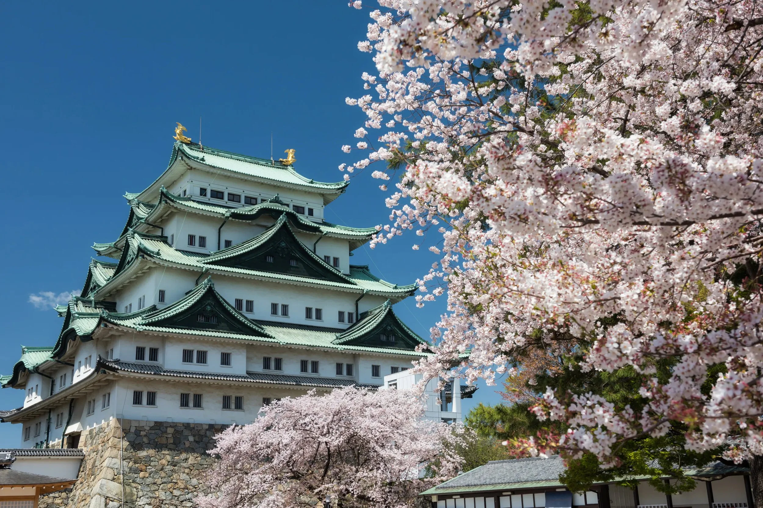 nagoya-japan-nagoya-castle.jpg