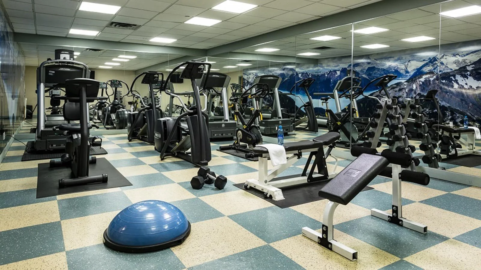 crystal-lodge-canada-whistler-crystal-lodge-gym_17904.jpg