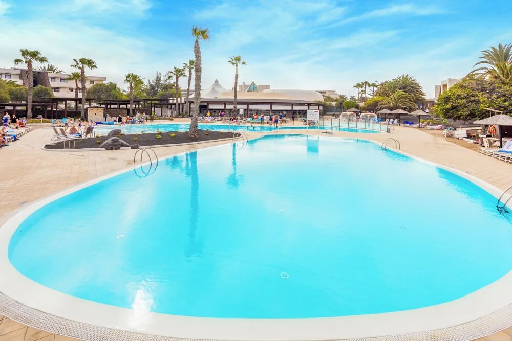 WhatsApp Image 2024-11-20 at 16.09.21_56b6b3aa.jpg