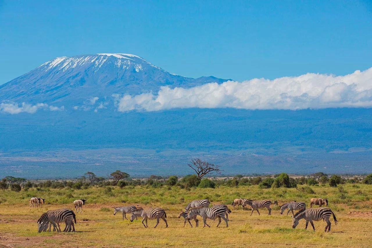 kilimanjaro_F1YX33_HR.jpg