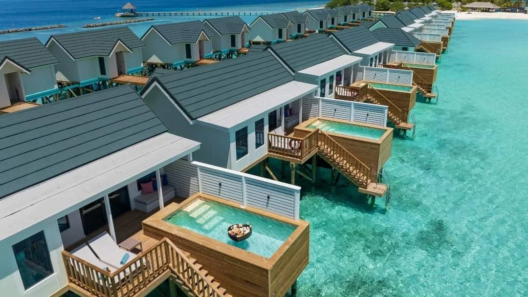 WhatsApp Image 2024-11-19 at 22.50.18_79a50a10.jpg