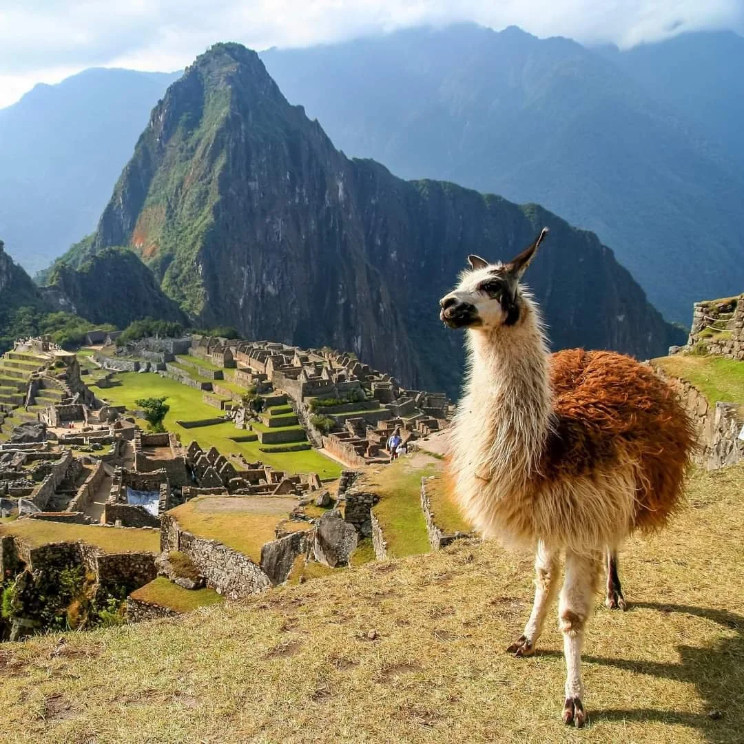 WhatsApp Image 2024-11-19 at 21.49.28_67beb22e.jpg