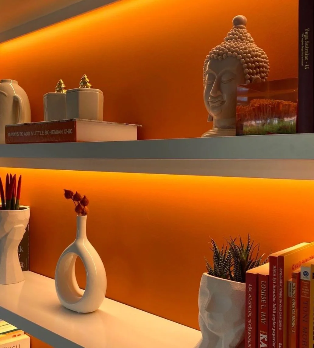 The recessed shelves with embedded back light as the fireplace wall units.