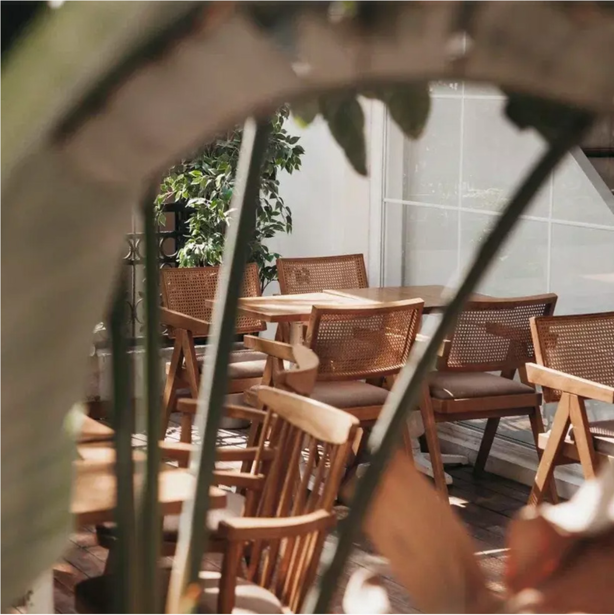 NOMO handmade wooden dining chairs with curved backrests styled in a modern Nuovo kitchen interior, Vancouver.
