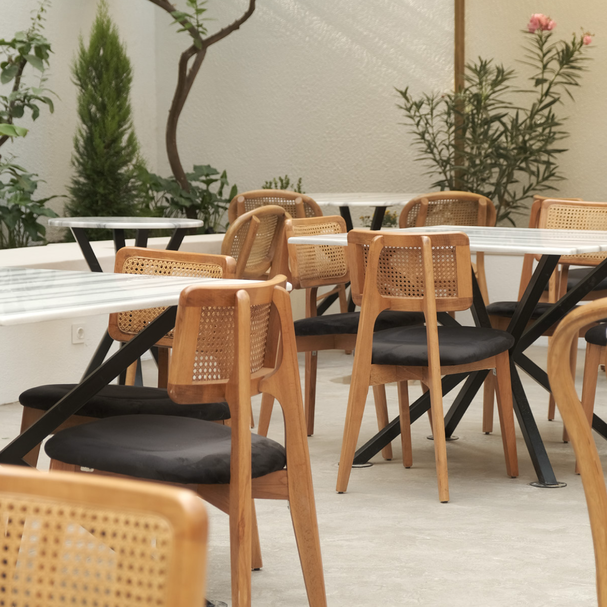 NOMO handmade wooden dining chairs with curved backrests styled in a modern cafe/restaurant; Nuovo Kitchens, Vancouver.