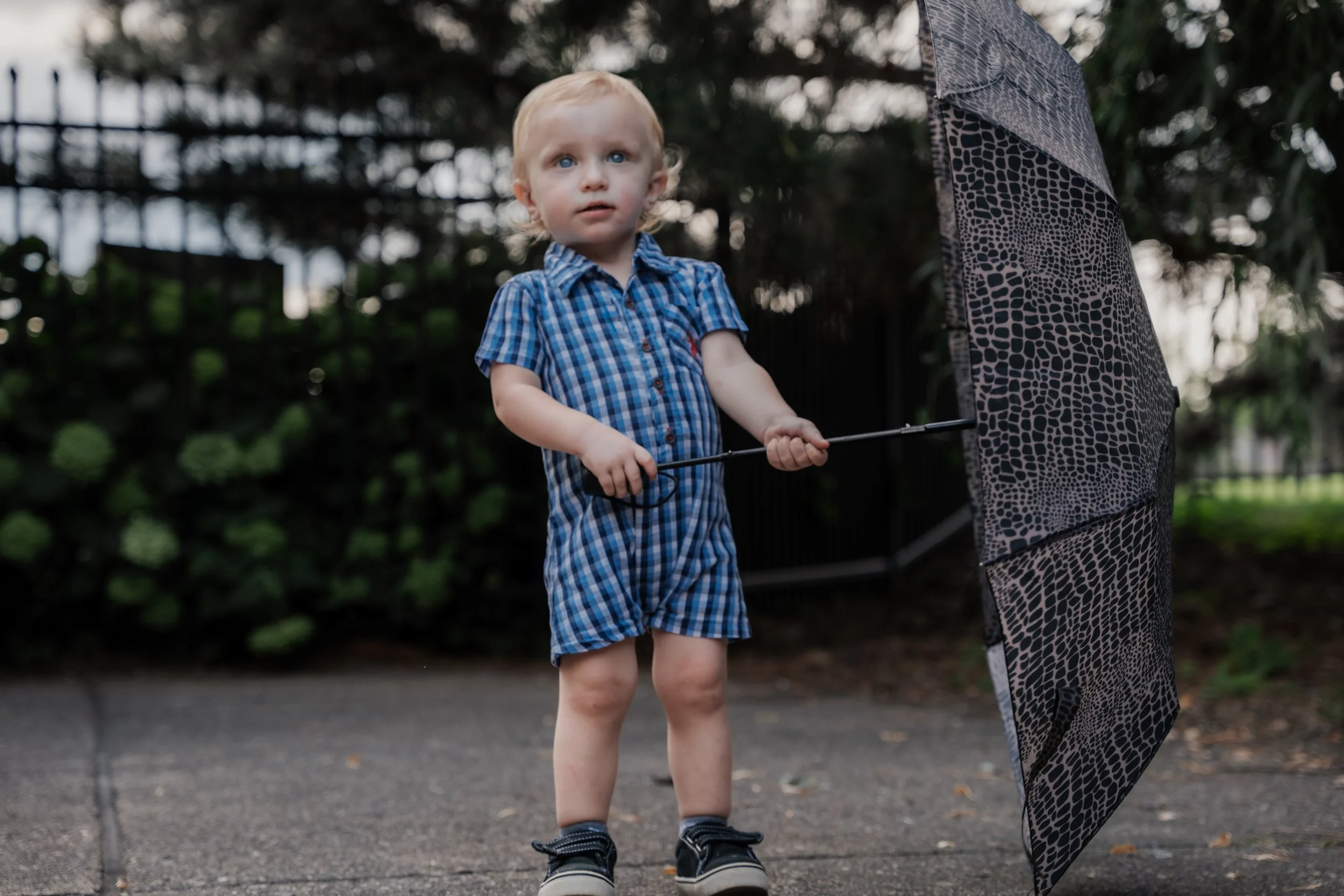 Family Photographer Southern Michigan