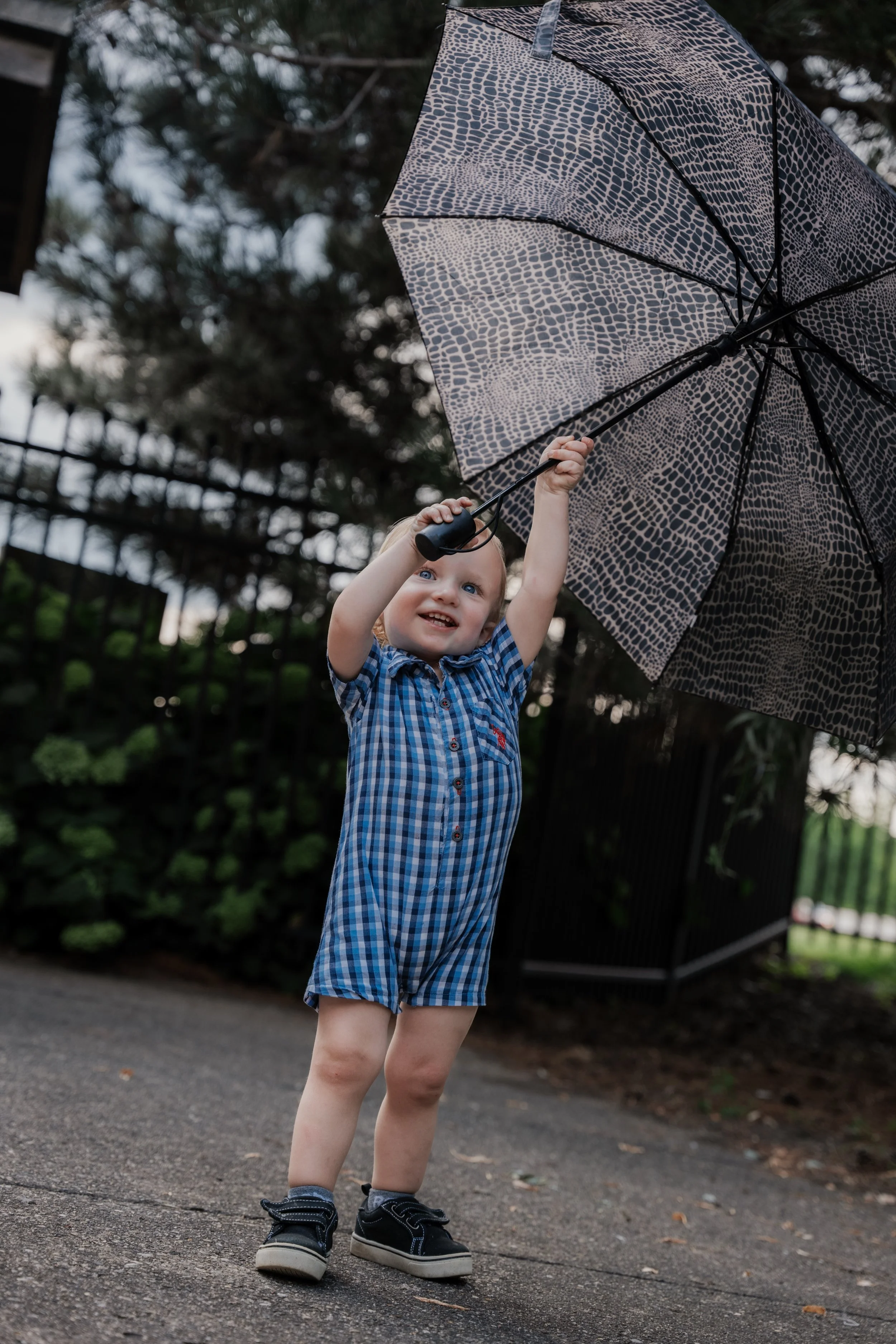 Family Photographer Southern Michigan