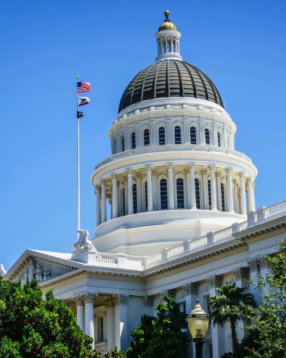 Advocacy Organization
