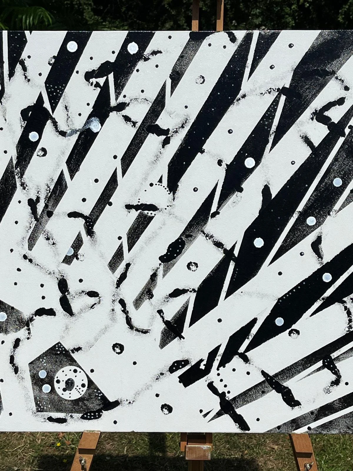 WhatsApp Image 2026-02-22 .jpeg