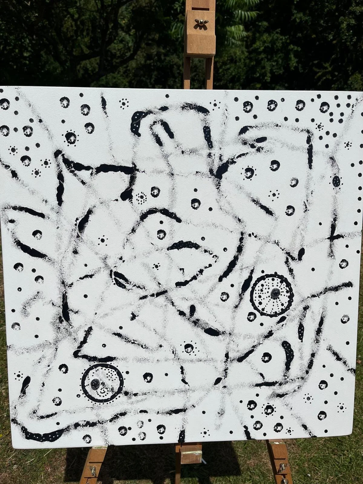 WhatsApp Image 2026-03-13 at 18.jpeg