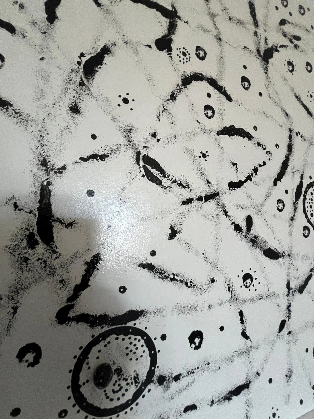 WhatsApp Image 2026-03-13 at 18.31..jpeg