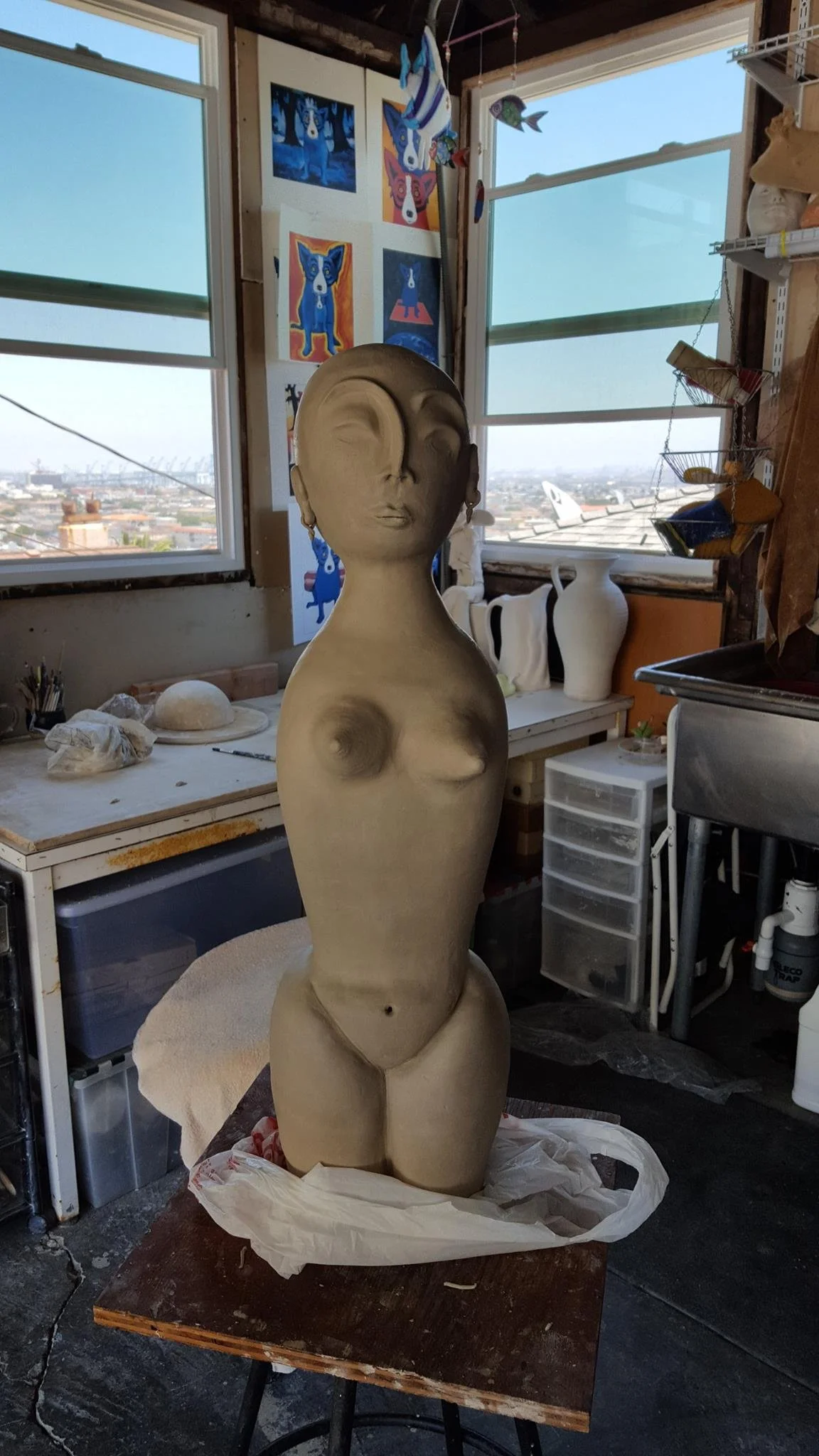 Simone construct.jpg