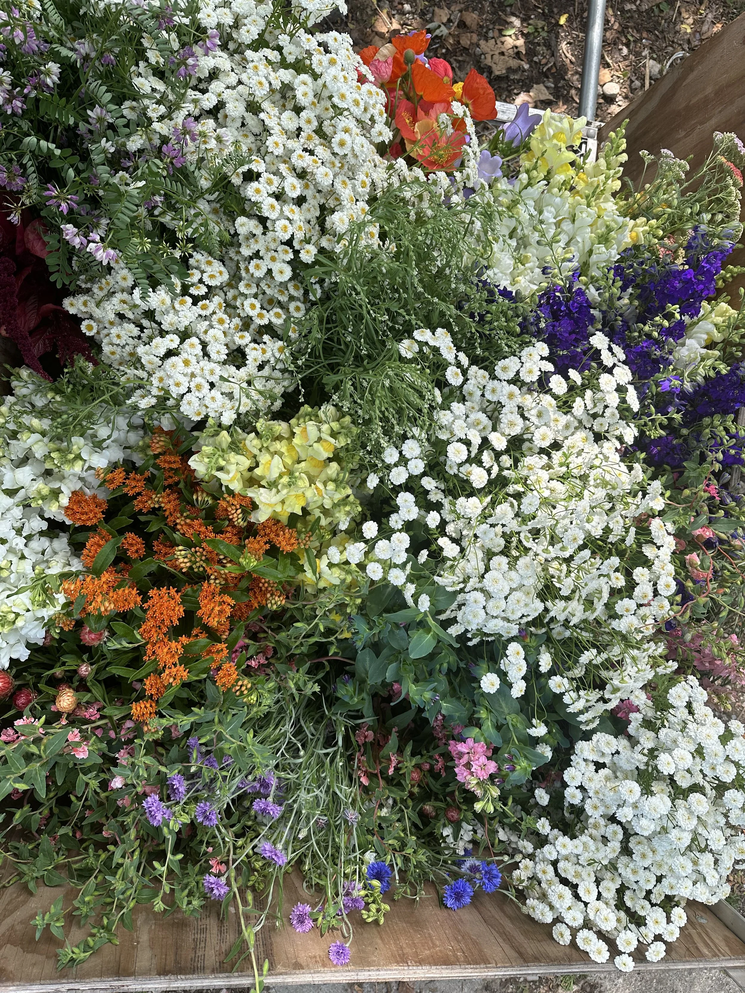 DIY Bucket Punch Card