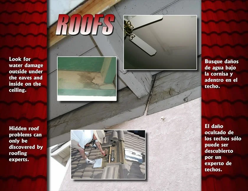 roofs.jpg
