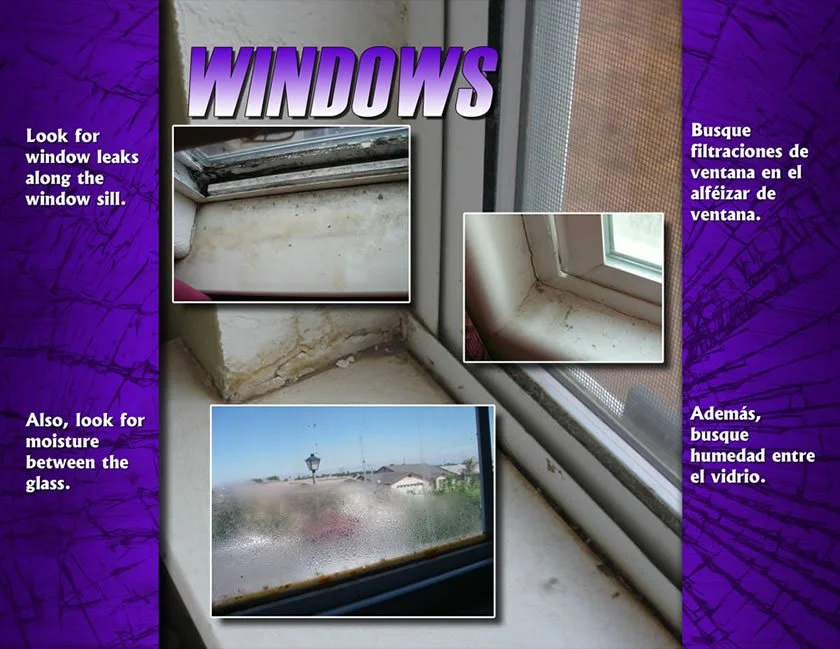 windows.jpg