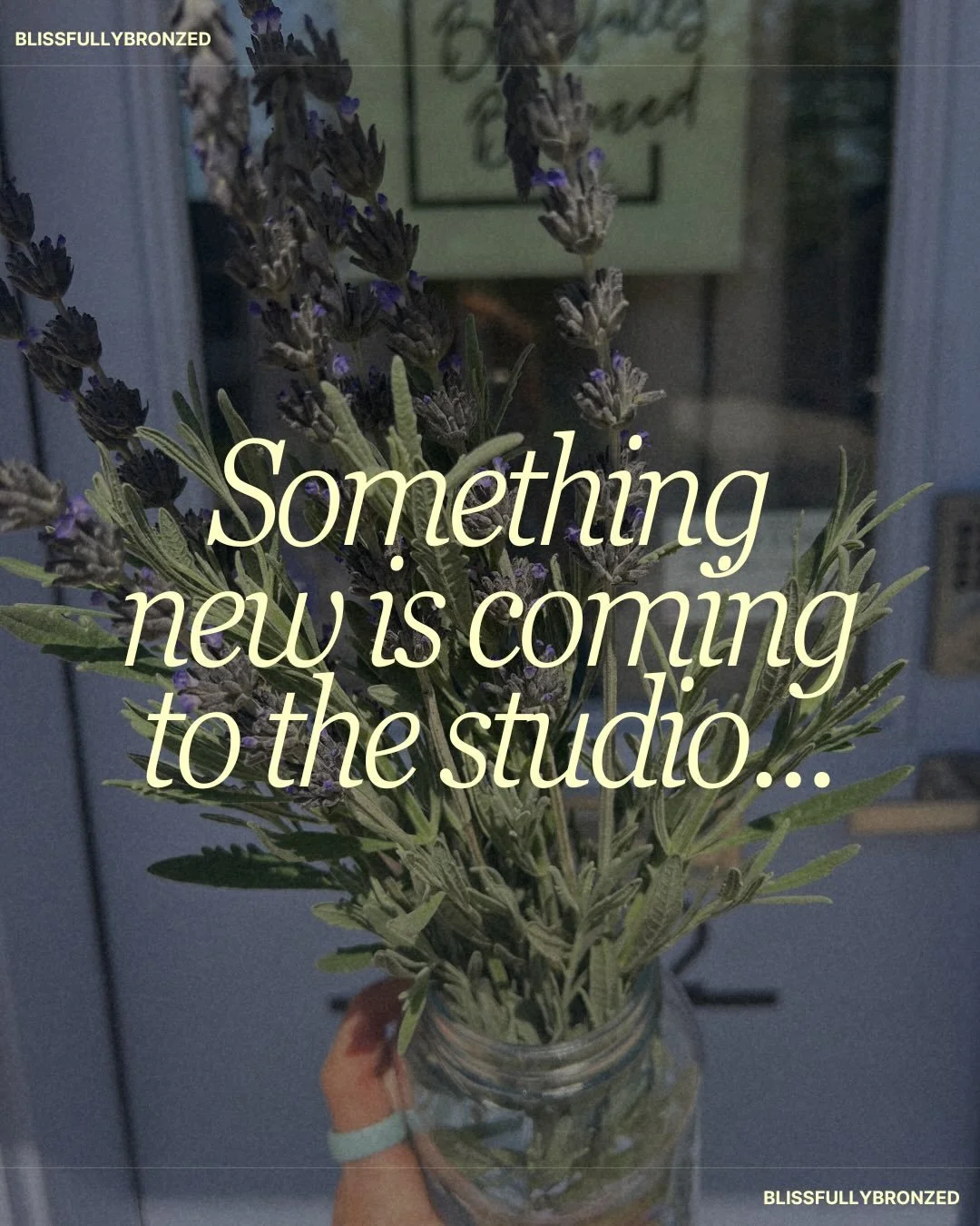 Okay wait&hellip; this is kind of a big deal ✨

Starting in June, someone really special is joining the Blissfully Bronzed space.

Meet Gina, owner of Blink &amp; Balance &mdash; bringing lashes, facials, and reiki into the studio. (+ more!)

Not jus