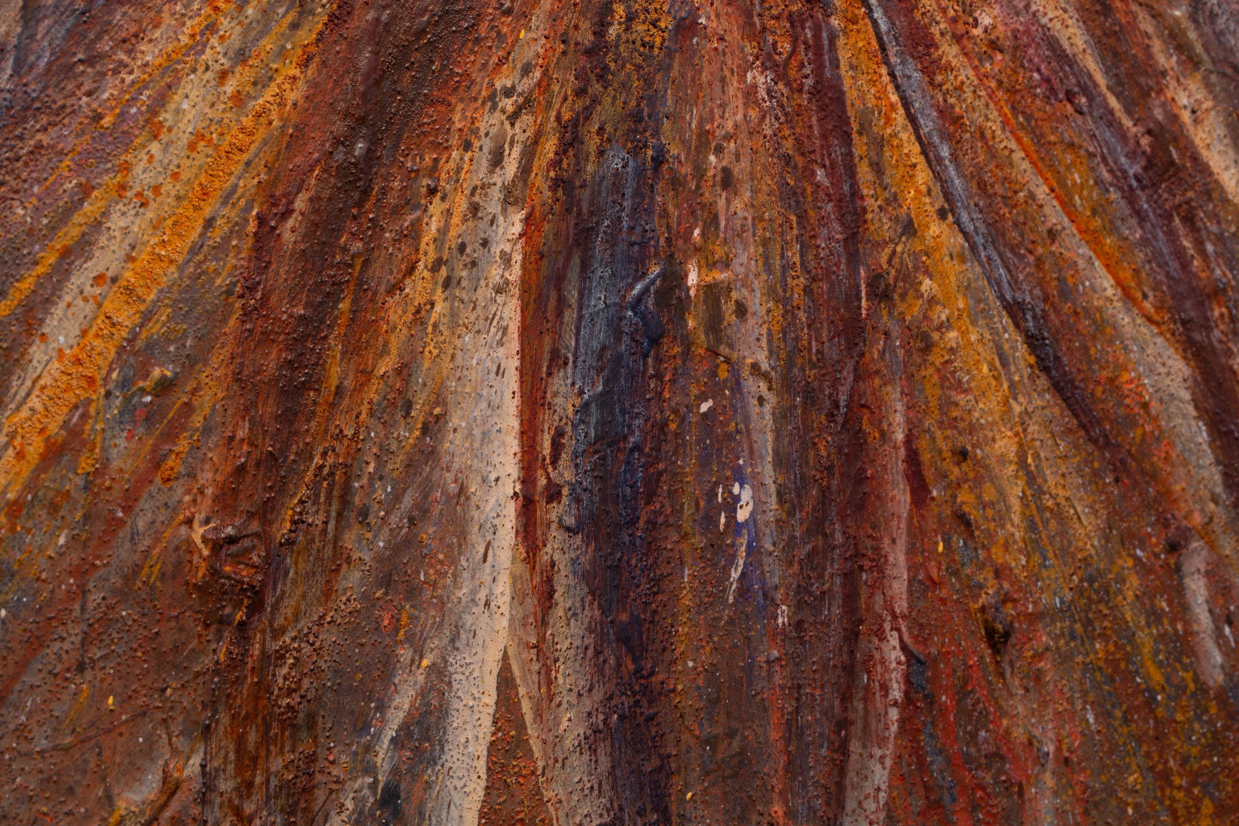 Harvest_07.jpg