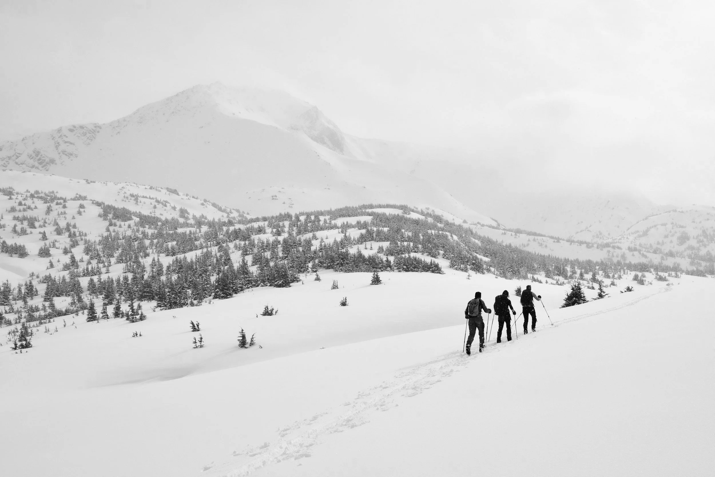 Three people hiking through snow-covered mountains with trees and distant peaks in black and white.