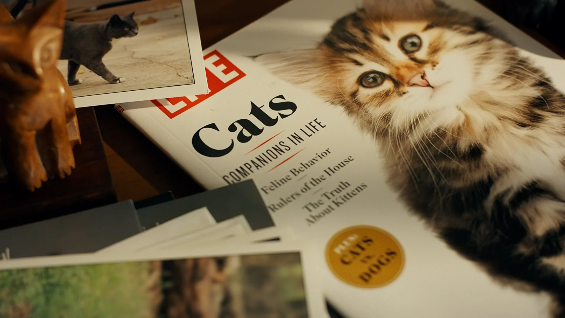 catphone-4.jpg