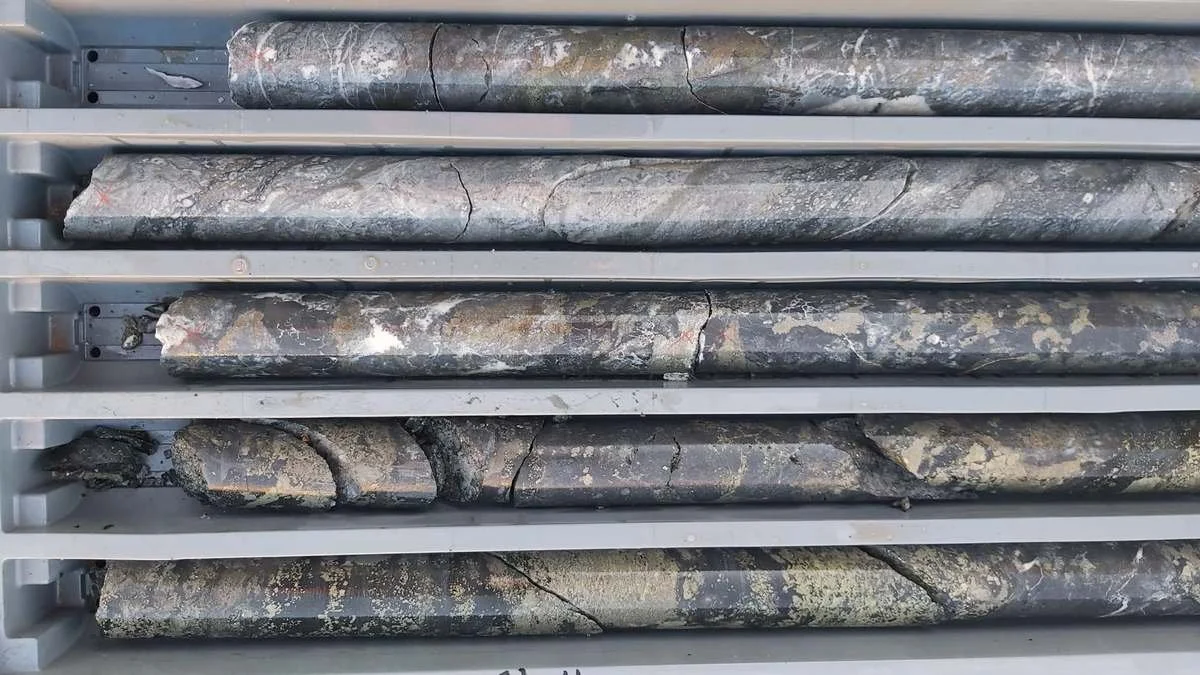 Mineralised drill core in trays