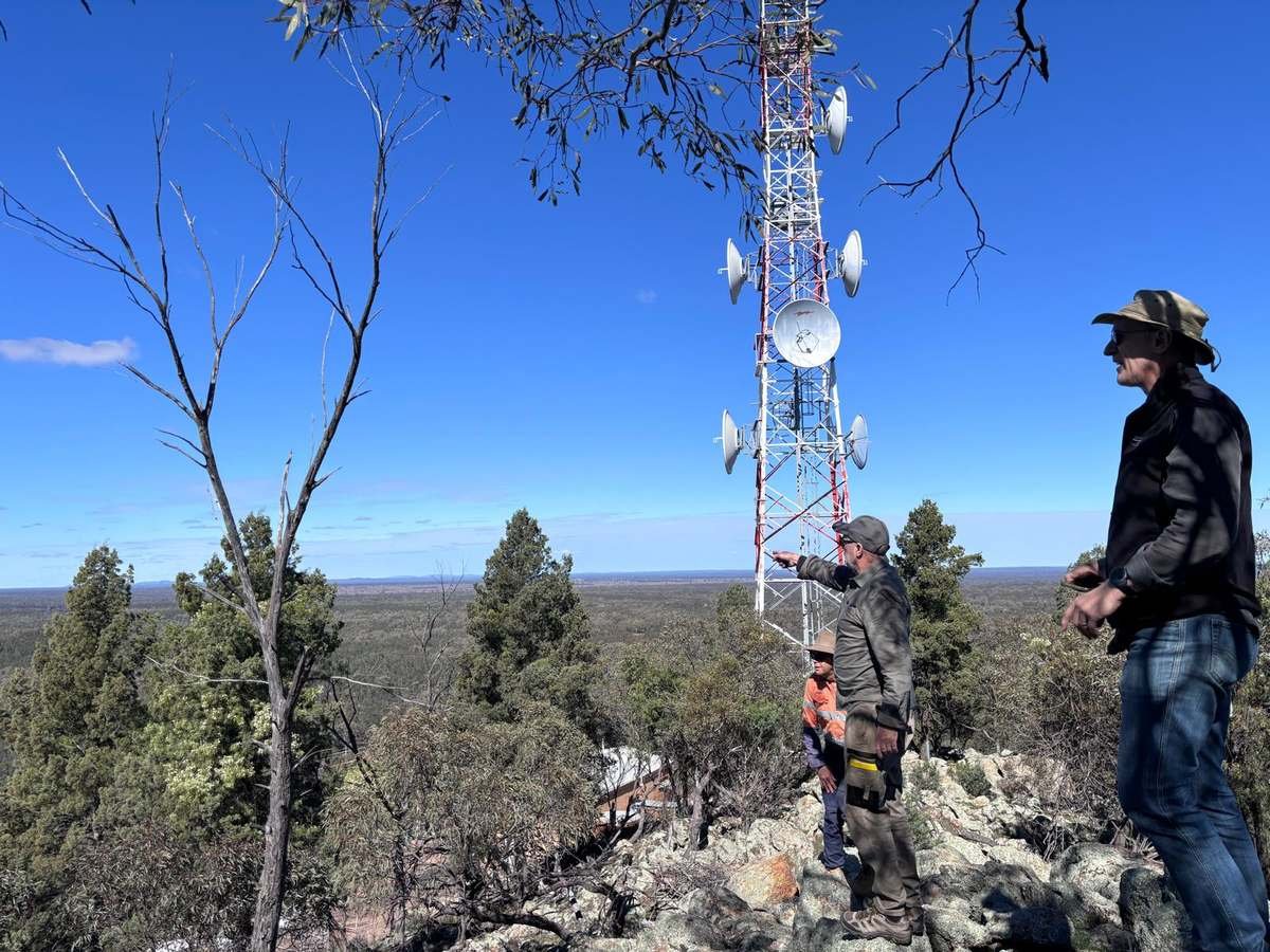 Surveying the district from a lookout