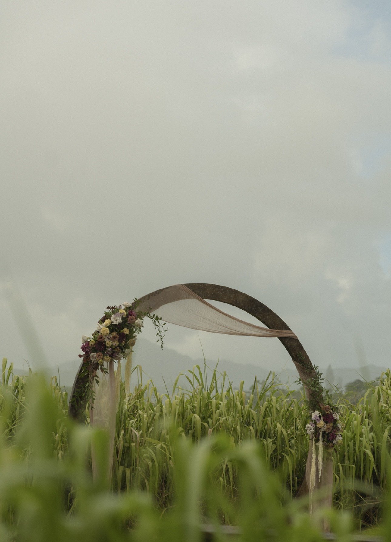 Arch & Arbor