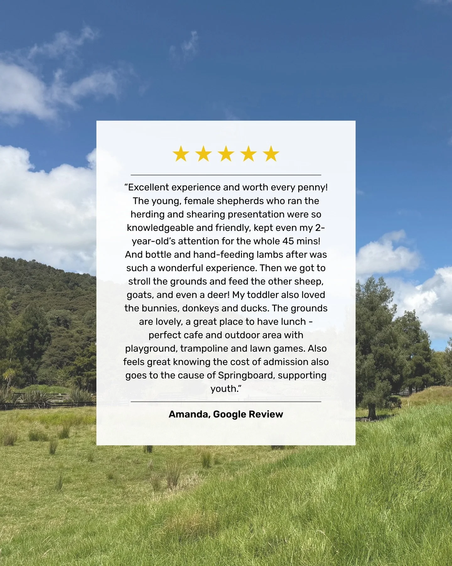 WOW! We just love hearing your personal experiences of Sheepworld - a big thanks to everyone who leaves a review, comment, like or tells their friends about us. 
As a local business, that's how we grow 🙌🐣