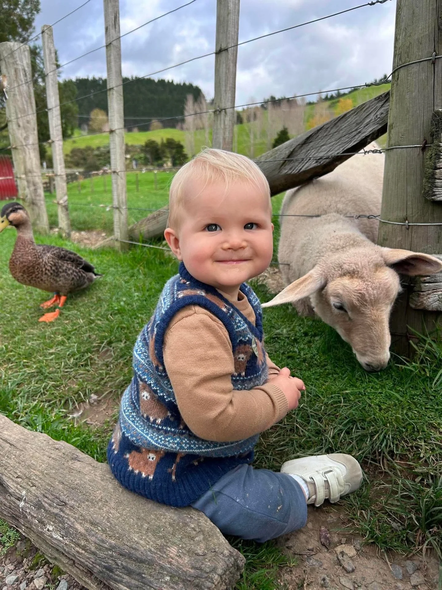 Are you a local mum with little ones looking to connect with other mums, get out of the house, and enjoy some time outdoors? 🐑🌞🌾

We&rsquo;re starting an informal Mums &amp; Bubs group at Sheepworld for local mums who would love a regular catch-up