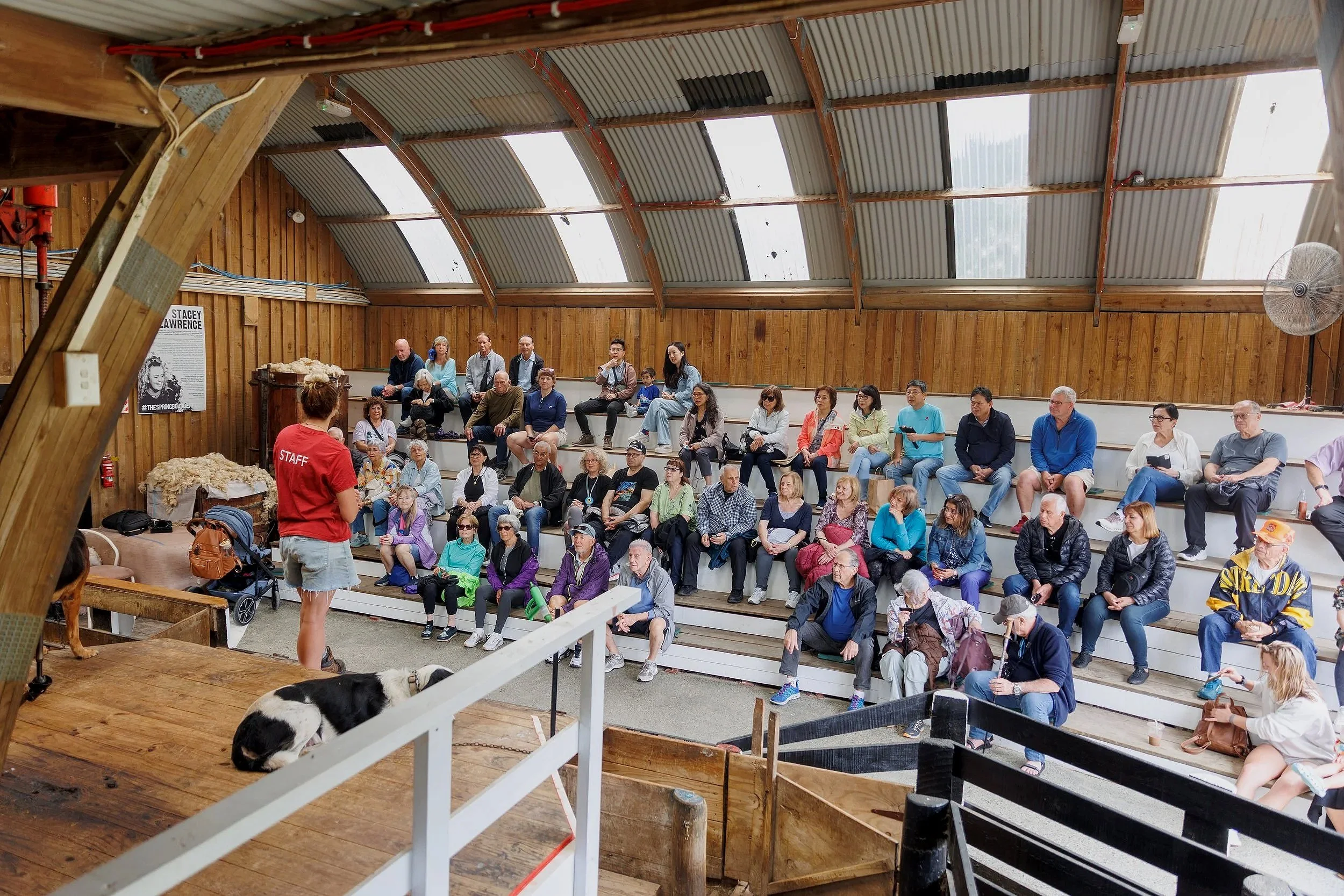 sheepworld-5.jpg
