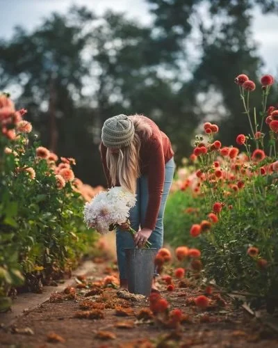 Fall Vibes-05862.jpg