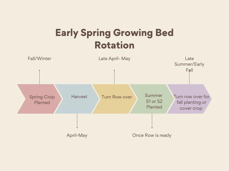Early+spring+succession+flow+graphic.jpg