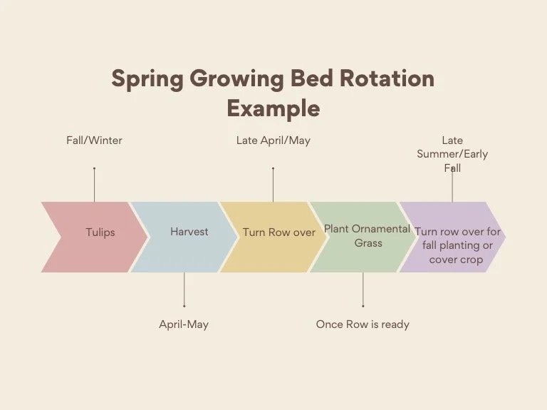 Spring+rotation+example.jpg