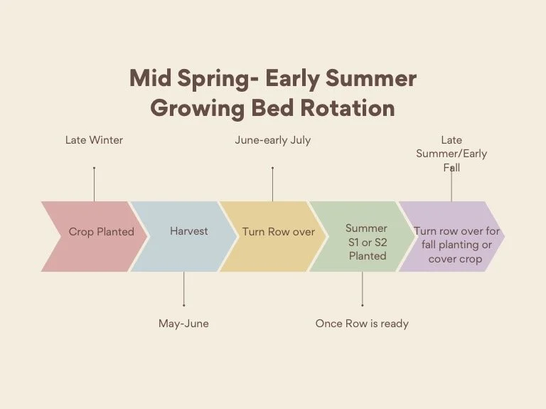 Mid+spring-early+summer+growing+bed+rotation.jpg