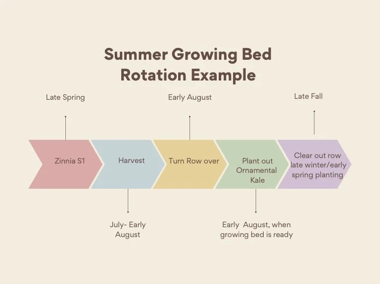 summer+growing+bed+example.jpg