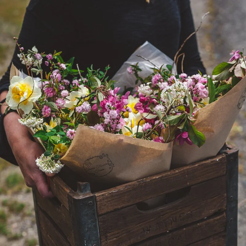FLOWER CSA PART 3 | MARKETING